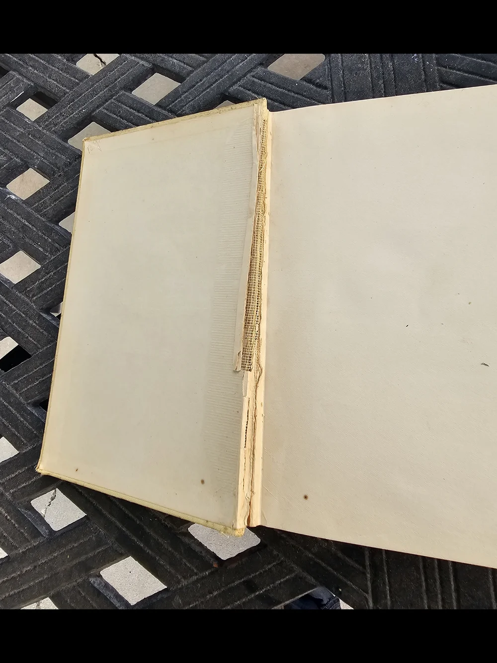 1902 Antique Two Little Pilgrims’ Progress Frances Hodgson Burnett